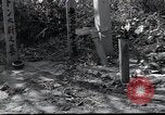 Image of United States Military Police Osaka Japan, 1945, second 45 stock footage video 65675074917