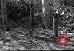Image of United States Military Police Osaka Japan, 1945, second 48 stock footage video 65675074917
