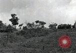 Standbild USA Soldaten Sui-ri Korea, 1951, aus Sekunde 9 historischem Filmmaterial Videoclip 65675074926