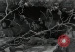 Standbild USA Soldaten Sui-ri Korea, 1951, aus Sekunde 60 historischem Filmmaterial Videoclip 65675074926