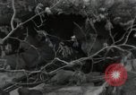 Standbild USA Soldaten Sui-ri Korea, 1951, aus Sekunde 61 historischem Filmmaterial Videoclip 65675074926