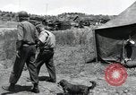 Image général Frank W Milburn Corée, 1951, de la seconde 10 séquences d'archives historiques vidéo 65675074929
