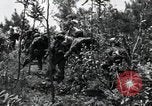 Image of African American Unit Korea, 1951, second 13 stock footage video 65675074930