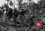 Image of African American Unit Korea, 1951, second 14 stock footage video 65675074930