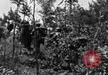Image of African American Unit Korea, 1951, second 16 stock footage video 65675074930