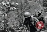 Image of African American Unit Korea, 1951, second 29 stock footage video 65675074930