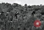 Image of African American Unit Korea, 1951, second 32 stock footage video 65675074930