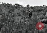 Image of African American Unit Korea, 1951, second 33 stock footage video 65675074930