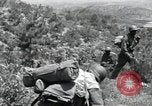 Image of African American Unit Korea, 1951, second 51 stock footage video 65675074930