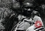 Image of African American Unit Korea, 1951, second 53 stock footage video 65675074930
