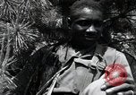 Image of African American Unit Korea, 1951, second 54 stock footage video 65675074930