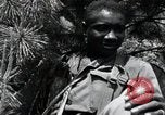 Image of African American Unit Korea, 1951, second 55 stock footage video 65675074930