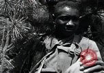 Image of African American Unit Korea, 1951, second 56 stock footage video 65675074930