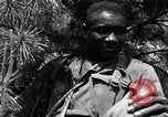 Image of African American Unit Korea, 1951, second 57 stock footage video 65675074930