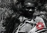 Image of African American Unit Korea, 1951, second 58 stock footage video 65675074930