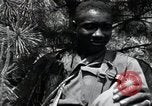 Image of African American Unit Korea, 1951, second 59 stock footage video 65675074930