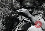 Image of African American Unit Korea, 1951, second 60 stock footage video 65675074930