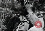 Image of African American Unit Korea, 1951, second 61 stock footage video 65675074930