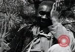 Image of African American Unit Korea, 1951, second 62 stock footage video 65675074930