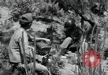 Standbild 1st Battalion Stabsoffiziere Korea, 1951, aus Sekunde 14 historischem Filmmaterial Videoclip 65675074931