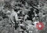 Standbild 1st Battalion Stabsoffiziere Korea, 1951, aus Sekunde 41 historischem Filmmaterial Videoclip 65675074931