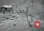 Immagine di Stati Uniti i medici Kachil-Bong Corea, 1952, secondo 56 filmato di repertorio 65675074938