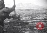 Image of United States soldiers Suwon Korea, 1951, second 59 stock footage video 65675074959