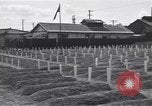 Standbild amerikanischen Friedhof Korea, 1950, aus Sekunde 12 historischem Filmmaterial Videoclip 65675074964