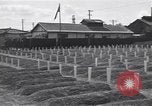 Standbild amerikanischen Friedhof Korea, 1950, aus Sekunde 13 historischem Filmmaterial Videoclip 65675074964