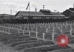 Standbild amerikanischen Friedhof Korea, 1950, aus Sekunde 14 historischem Filmmaterial Videoclip 65675074964