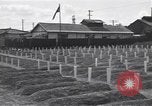 Standbild amerikanischen Friedhof Korea, 1950, aus Sekunde 15 historischem Filmmaterial Videoclip 65675074964