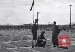 Standbild amerikanischen Friedhof Korea, 1950, aus Sekunde 24 historischem Filmmaterial Videoclip 65675074964