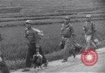 Image 2e soldats d'infanterie Corée, 1950, de la seconde 10 séquences d'archives historiques vidéo 65675074968