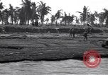 Immagine di Truppe alleate Lingayen Filippine, 1945, secondo 21 filmato di repertorio 65675074979