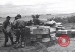 Immagine di Soldati statunitensi Guadalcanal nelle Isole Salomone, 1944, secondo 38 filmato di repertorio 65675074983