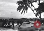 Standbild USA Soldaten Guadalcanal Salomonen, 1944, aus Sekunde 47 historischem Filmmaterial Videoclip 65675074985