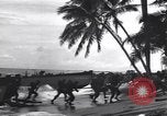 Standbild USA Soldaten Guadalcanal Salomonen, 1944, aus Sekunde 49 historischem Filmmaterial Videoclip 65675074985