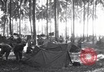 Immagine di Soldati statunitensi Guadalcanal nelle Isole Salomone, 1944, secondo 5 filmato di repertorio 65675074987
