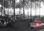 Immagine di Soldati statunitensi Guadalcanal nelle Isole Salomone, 1944, secondo 10 filmato di repertorio 65675074987