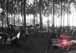 Immagine di Soldati statunitensi Guadalcanal nelle Isole Salomone, 1944, secondo 18 filmato di repertorio 65675074987
