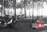 Immagine di Soldati statunitensi Guadalcanal nelle Isole Salomone, 1944, secondo 20 filmato di repertorio 65675074987