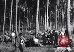 Immagine di Soldati statunitensi Guadalcanal nelle Isole Salomone, 1944, secondo 29 filmato di repertorio 65675074987