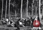 Immagine di Soldati statunitensi Guadalcanal nelle Isole Salomone, 1944, secondo 30 filmato di repertorio 65675074987