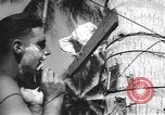 Immagine di Soldati statunitensi Guadalcanal nelle Isole Salomone, 1944, secondo 37 filmato di repertorio 65675074987