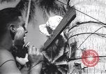 Immagine di Soldati statunitensi Guadalcanal nelle Isole Salomone, 1944, secondo 39 filmato di repertorio 65675074987