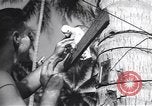 Immagine di Soldati statunitensi Guadalcanal nelle Isole Salomone, 1944, secondo 41 filmato di repertorio 65675074987