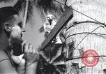 Immagine di Soldati statunitensi Guadalcanal nelle Isole Salomone, 1944, secondo 43 filmato di repertorio 65675074987