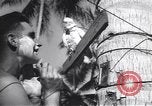 Immagine di Soldati statunitensi Guadalcanal nelle Isole Salomone, 1944, secondo 45 filmato di repertorio 65675074987