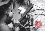 Immagine di Soldati statunitensi Guadalcanal nelle Isole Salomone, 1944, secondo 48 filmato di repertorio 65675074987