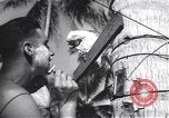 Immagine di Soldati statunitensi Guadalcanal nelle Isole Salomone, 1944, secondo 49 filmato di repertorio 65675074987